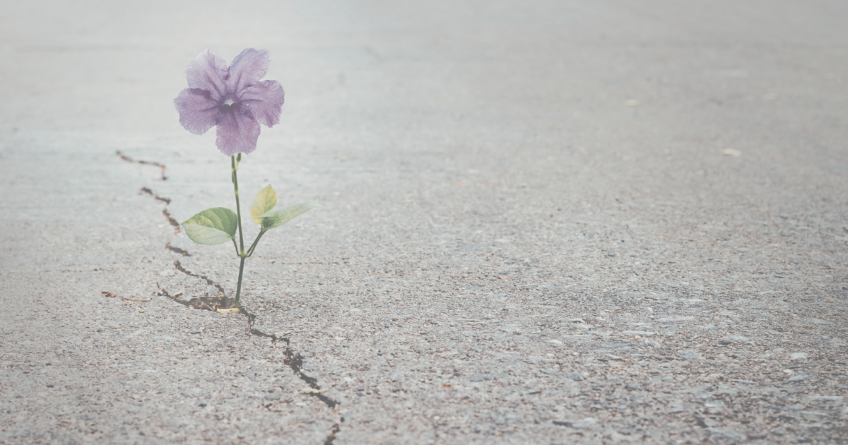 Chronion | Why the ability to absorb disruption has become a…