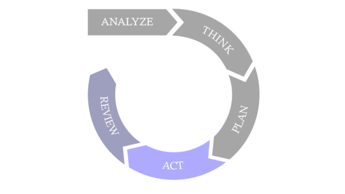 Chronion - Consulting - Revenue potential
